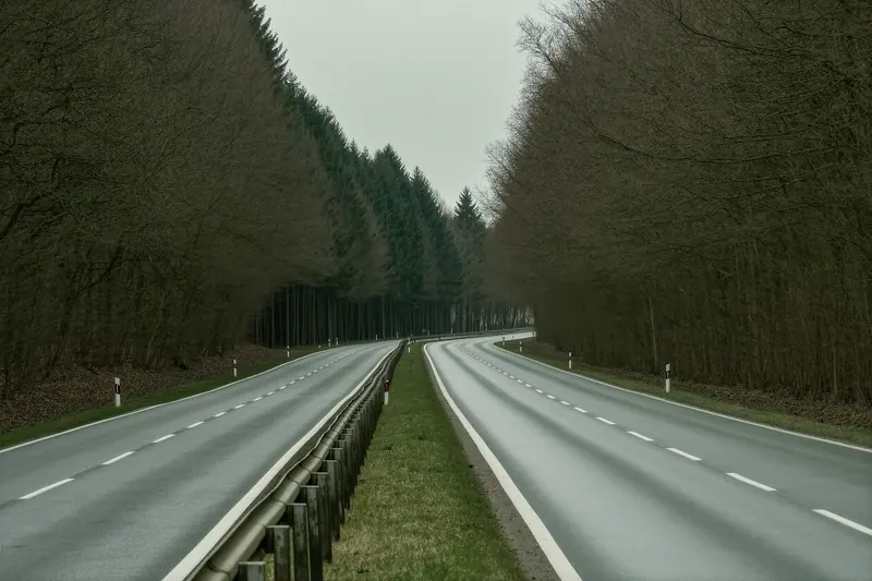 An empty winding country road through wooded hills under a flat grey sky, with no traffic and no buildings visible.